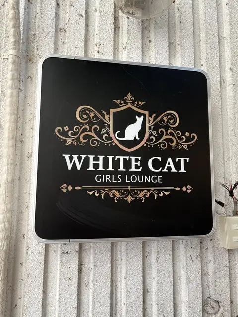 黒地に猫紋章の「WHITE CAT GIRLS LOUNGE」看板